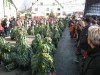 Thumbs/tn_2006-02-05_Umzug-Pfohren-Schnuferzunft_045.jpg