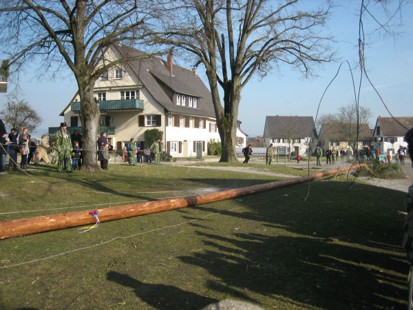 ../Images/2007-02-20_Fasnachtsdienstag_029.jpg