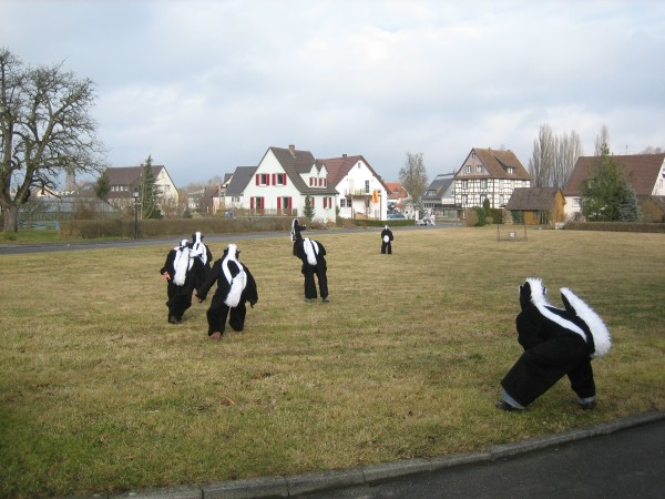 ../Images/2008-01-31_Schmotzige-Dunnstig_069.jpg