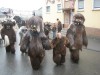 Thumbs/tn_2009-02-08_Grundele_Narrentreffen-Allensbach_139.jpg