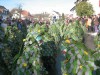 Thumbs/tn_2009-02-15_Grundele_Seenarrentreffen-Stahringen_125.jpg