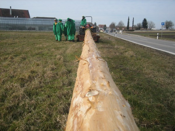 ../Images/2009-02-19_Grundele_Schmotzige-Dunnstig_138.jpg