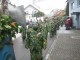 Thumbs/tn_2010-02-07_Grundele-Seenarrentreffen_052.jpg