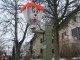 Thumbs/tn_2010-02-07_Grundele-Seenarrentreffen_117.jpg