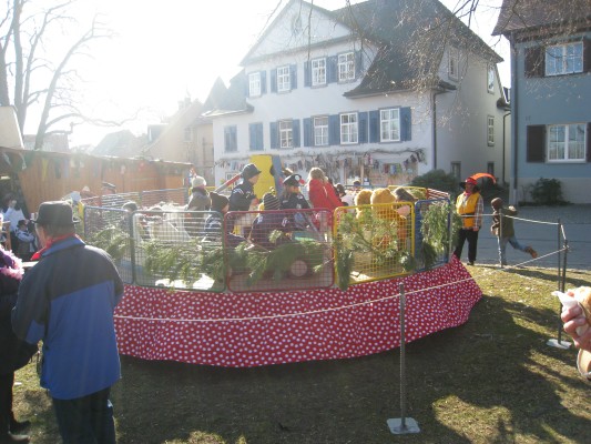 ../Images/2011-03-07_Rosenmontag_036.jpg