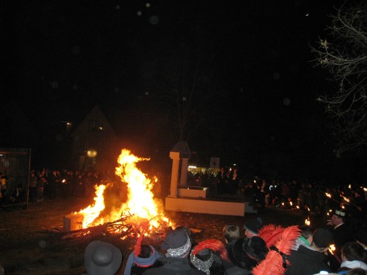 ../Images/2011-03-08_FasnachtsDienstag_142.jpg