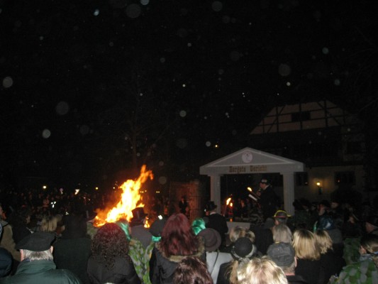 ../Images/2011-03-08_FasnachtsDienstag_143.jpg