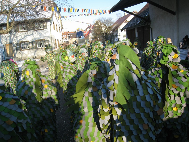 ../Images/2012-02-05_Grundele--Narrentag-Bermatingen_053.jpg