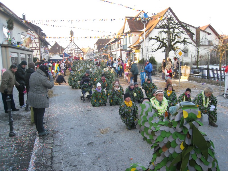 ../Images/2012-02-05_Grundele--Narrentag-Bermatingen_072.jpg