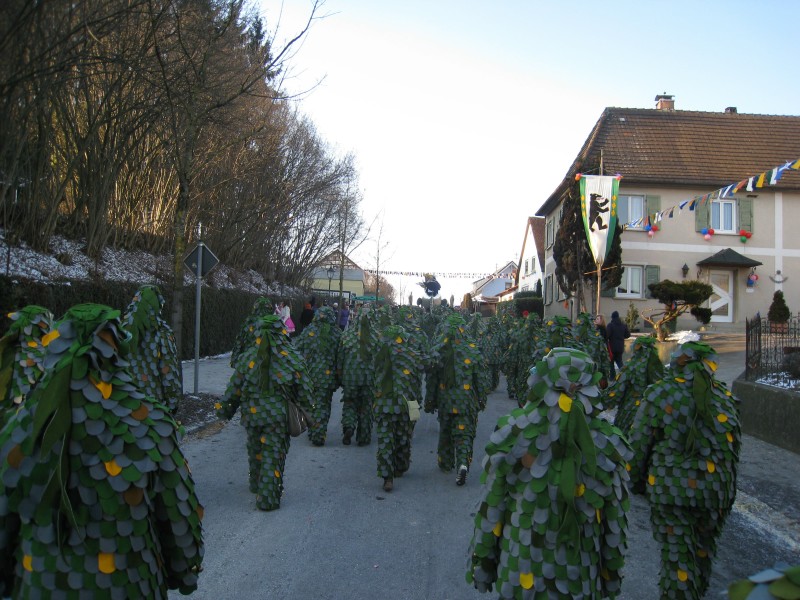 ../Images/2012-02-05_Grundele--Narrentag-Bermatingen_103.jpg