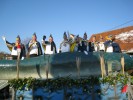 Thumbs/tn_2012-02-05_Grundele--Narrentag-Bermatingen_038.jpg