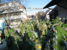 Thumbs/tn_2012-02-05_Grundele--Narrentag-Bermatingen_052.jpg