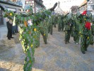 Thumbs/tn_2012-02-05_Grundele--Narrentag-Bermatingen_081.jpg