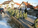 Thumbs/tn_2012-02-05_Grundele--Narrentag-Bermatingen_097.jpg