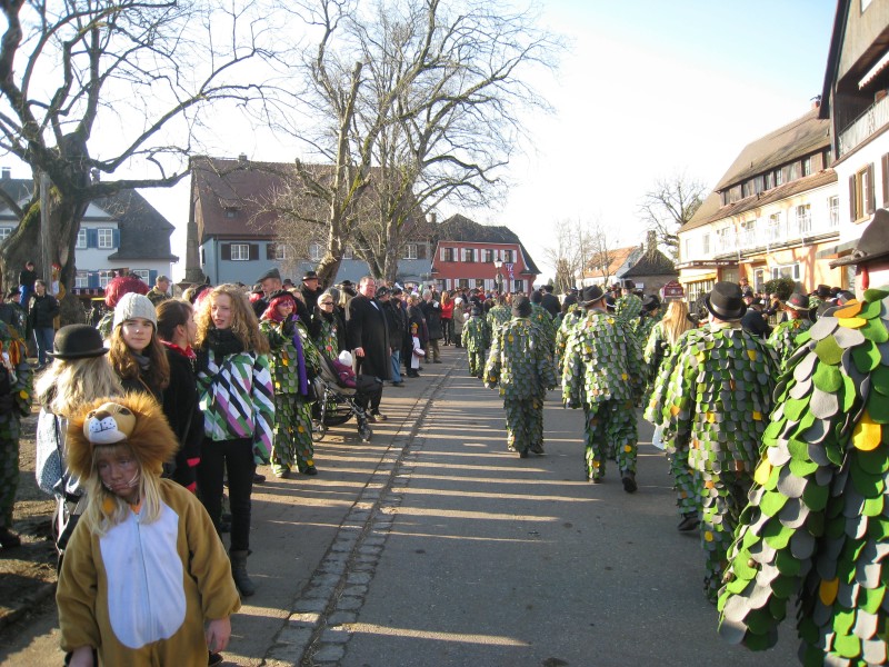 ../Images/2012-02-21_Fasnachtsdienstag_033.jpg