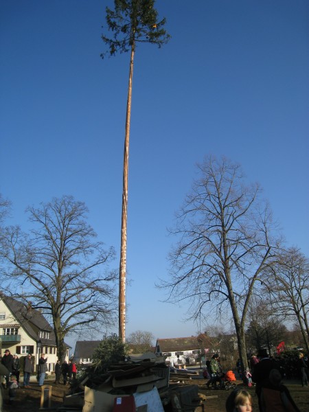 ../Images/2012-02-21_Fasnachtsdienstag_041.jpg