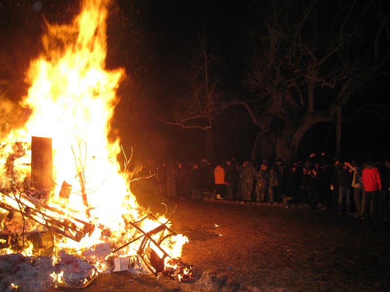 ../Images/2012-02-21_Fasnachtsdienstag_114.jpg