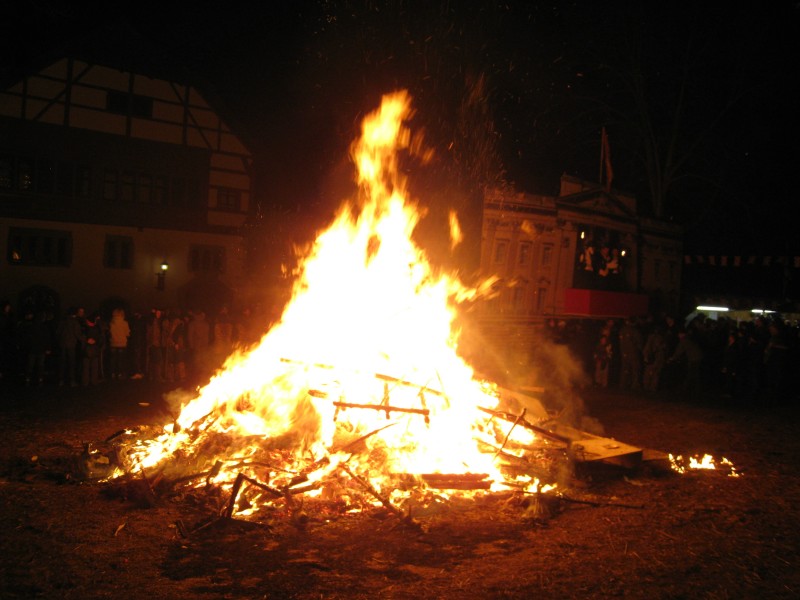 ../Images/2012-02-21_Fasnachtsdienstag_141.jpg