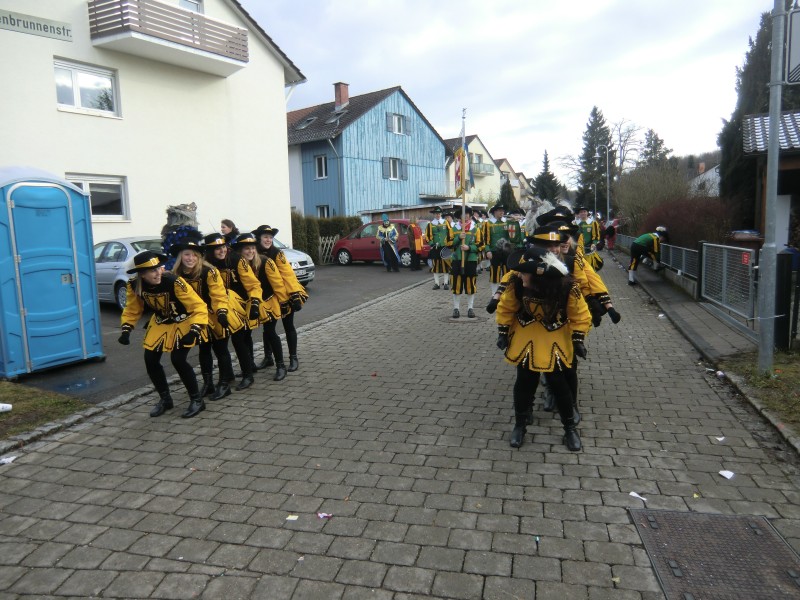 ../Images/2013-02-03_Seenarrenumzug-Dettingen_008.jpg