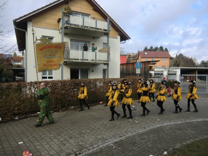 ../Images/2013-02-03_Seenarrenumzug-Dettingen_010.jpg