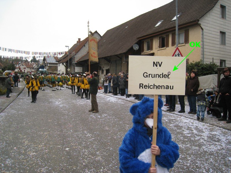 ../Images/2014-02-16_Narrenumzug-Erzingen_013.jpg