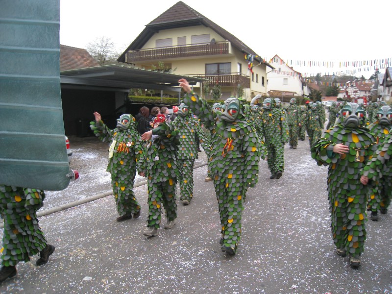 ../Images/2014-02-16_Narrenumzug-Erzingen_026.jpg