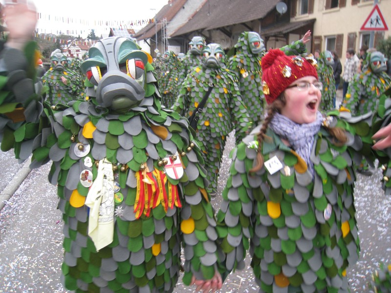 ../Images/2014-02-16_Narrenumzug-Erzingen_027.jpg