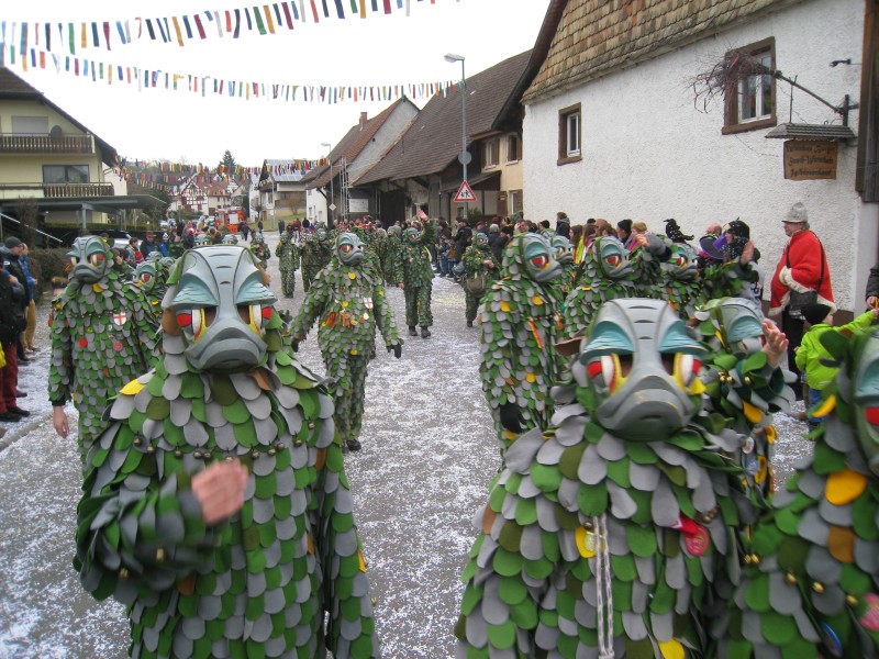 ../Images/2014-02-16_Narrenumzug-Erzingen_030.jpg