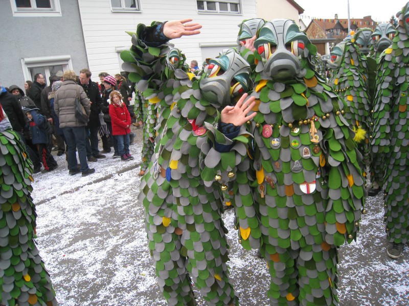../Images/2014-02-16_Narrenumzug-Erzingen_034.jpg