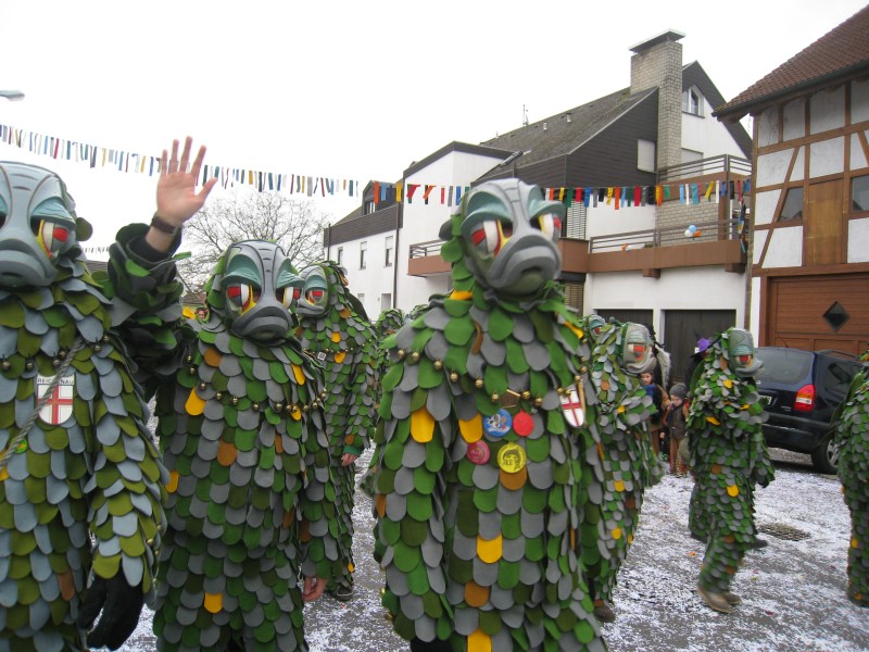 ../Images/2014-02-16_Narrenumzug-Erzingen_035.jpg