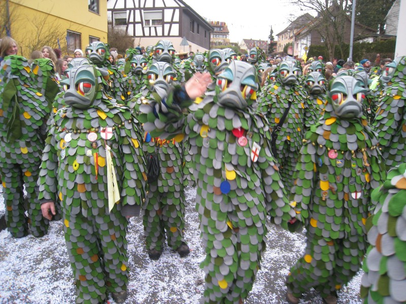 ../Images/2014-02-16_Narrenumzug-Erzingen_053.jpg