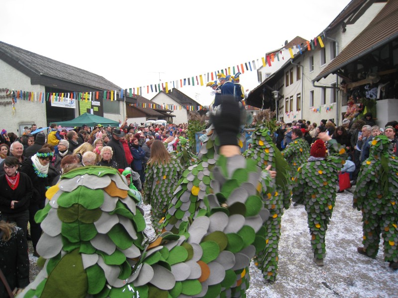 ../Images/2014-02-16_Narrenumzug-Erzingen_055.jpg