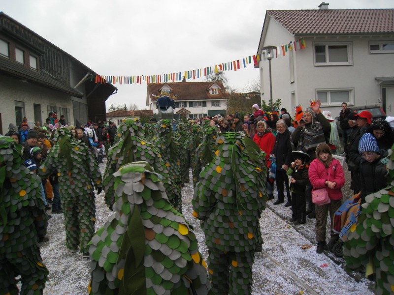 ../Images/2014-02-16_Narrenumzug-Erzingen_056.jpg