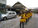 Thumbs/tn_2014-02-16_Narrenumzug-Erzingen_016.jpg