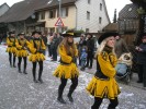 Thumbs/tn_2014-02-16_Narrenumzug-Erzingen_017.jpg