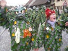 Thumbs/tn_2014-02-16_Narrenumzug-Erzingen_027.jpg