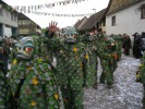 Thumbs/tn_2014-02-16_Narrenumzug-Erzingen_029.jpg