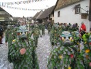 Thumbs/tn_2014-02-16_Narrenumzug-Erzingen_030.jpg