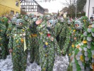 Thumbs/tn_2014-02-16_Narrenumzug-Erzingen_052.jpg