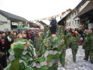 Thumbs/tn_2014-02-16_Narrenumzug-Erzingen_055.jpg