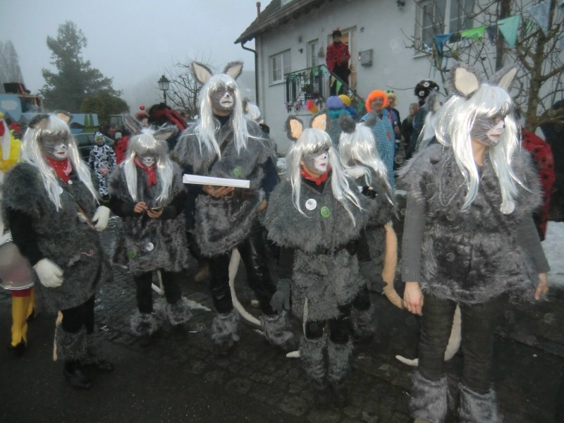../Images/2015-02-12_Grundele-Schmotziger-Dunnstig_017.jpg