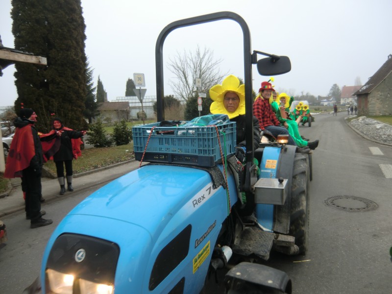 ../Images/2015-02-12_Grundele-Schmotziger-Dunnstig_236.jpg