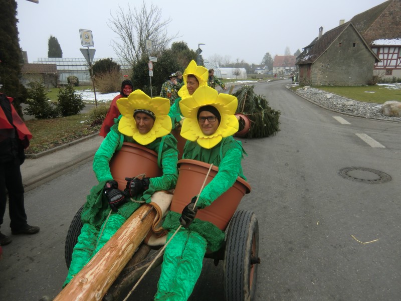 ../Images/2015-02-12_Grundele-Schmotziger-Dunnstig_239.jpg