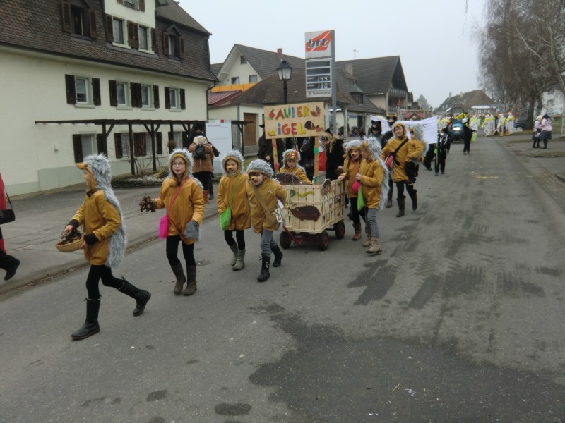../Images/2015-02-12_Grundele-Schmotziger-Dunnstig_250.jpg