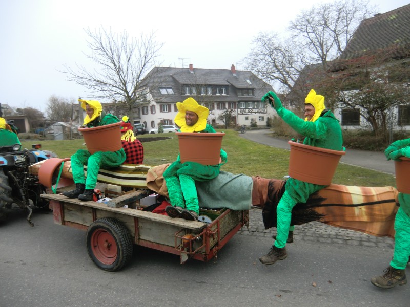 ../Images/2015-02-12_Grundele-Schmotziger-Dunnstig_255.jpg