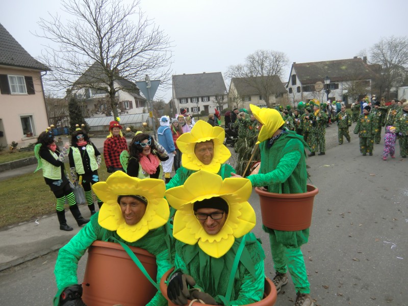 ../Images/2015-02-12_Grundele-Schmotziger-Dunnstig_257.jpg