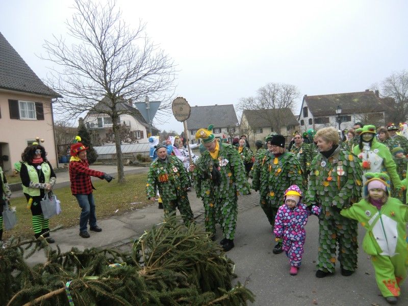 ../Images/2015-02-12_Grundele-Schmotziger-Dunnstig_258.jpg