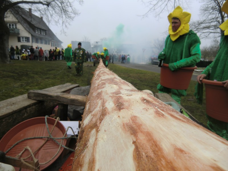 ../Images/2015-02-12_Grundele-Schmotziger-Dunnstig_263.jpg