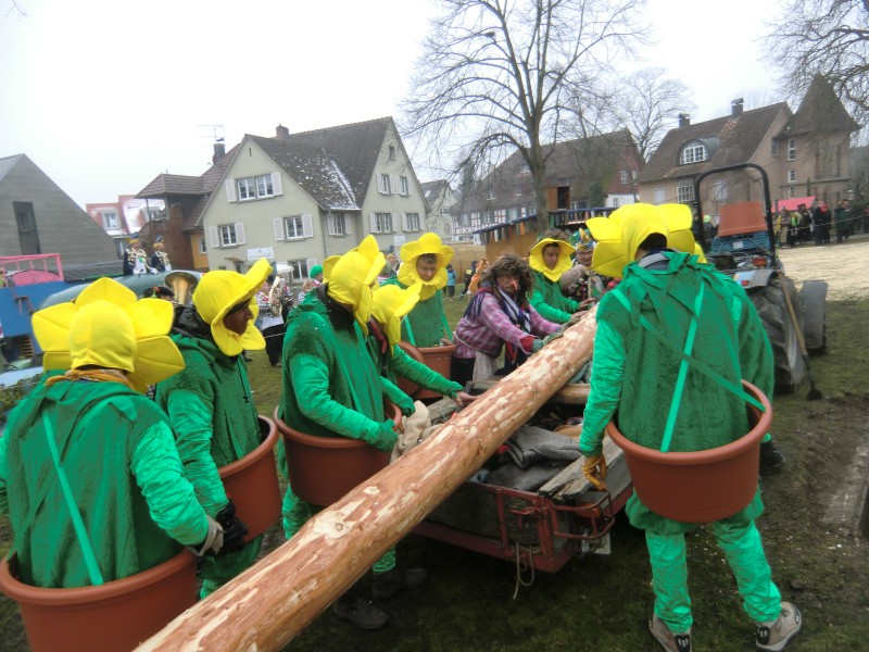 ../Images/2015-02-12_Grundele-Schmotziger-Dunnstig_264.jpg