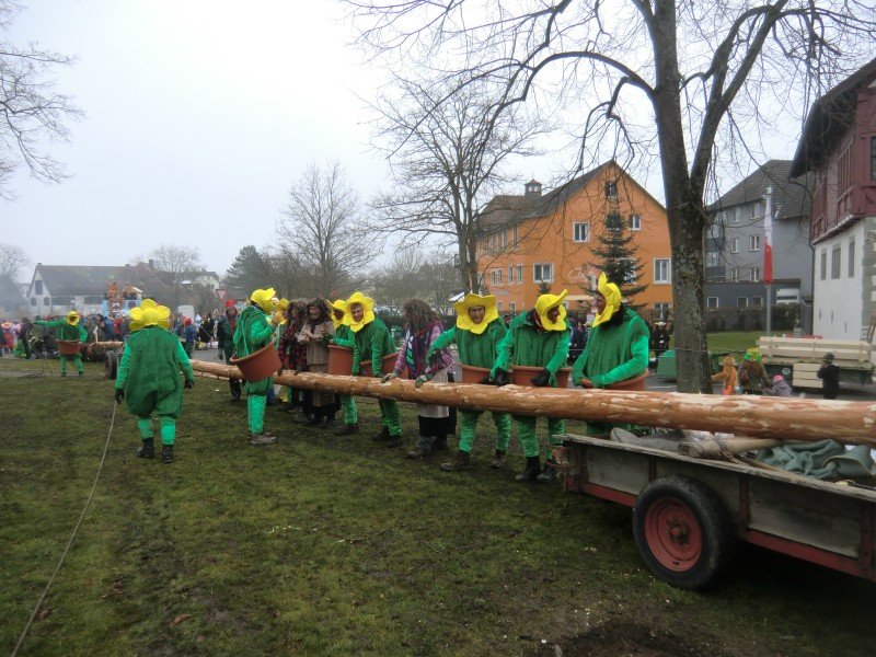 ../Images/2015-02-12_Grundele-Schmotziger-Dunnstig_265.jpg